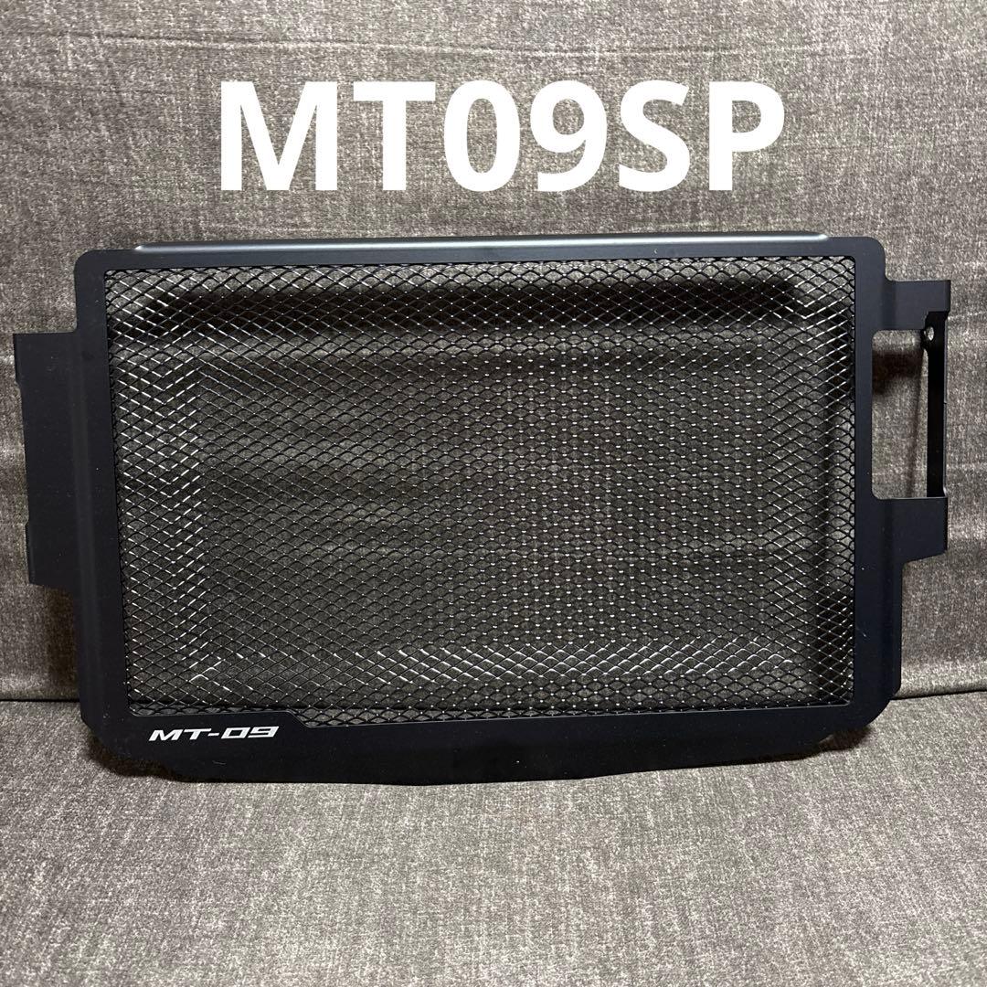 Other Y'S Mt09