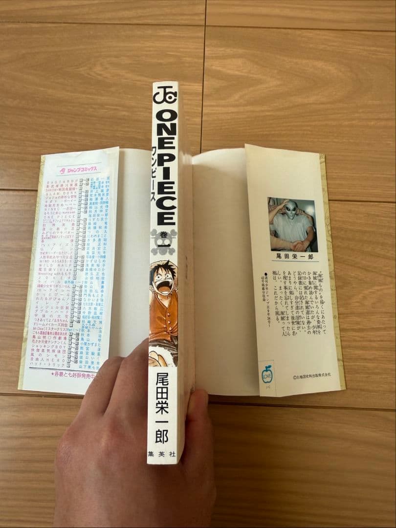 Sh Nen Manga 1 One Piece
