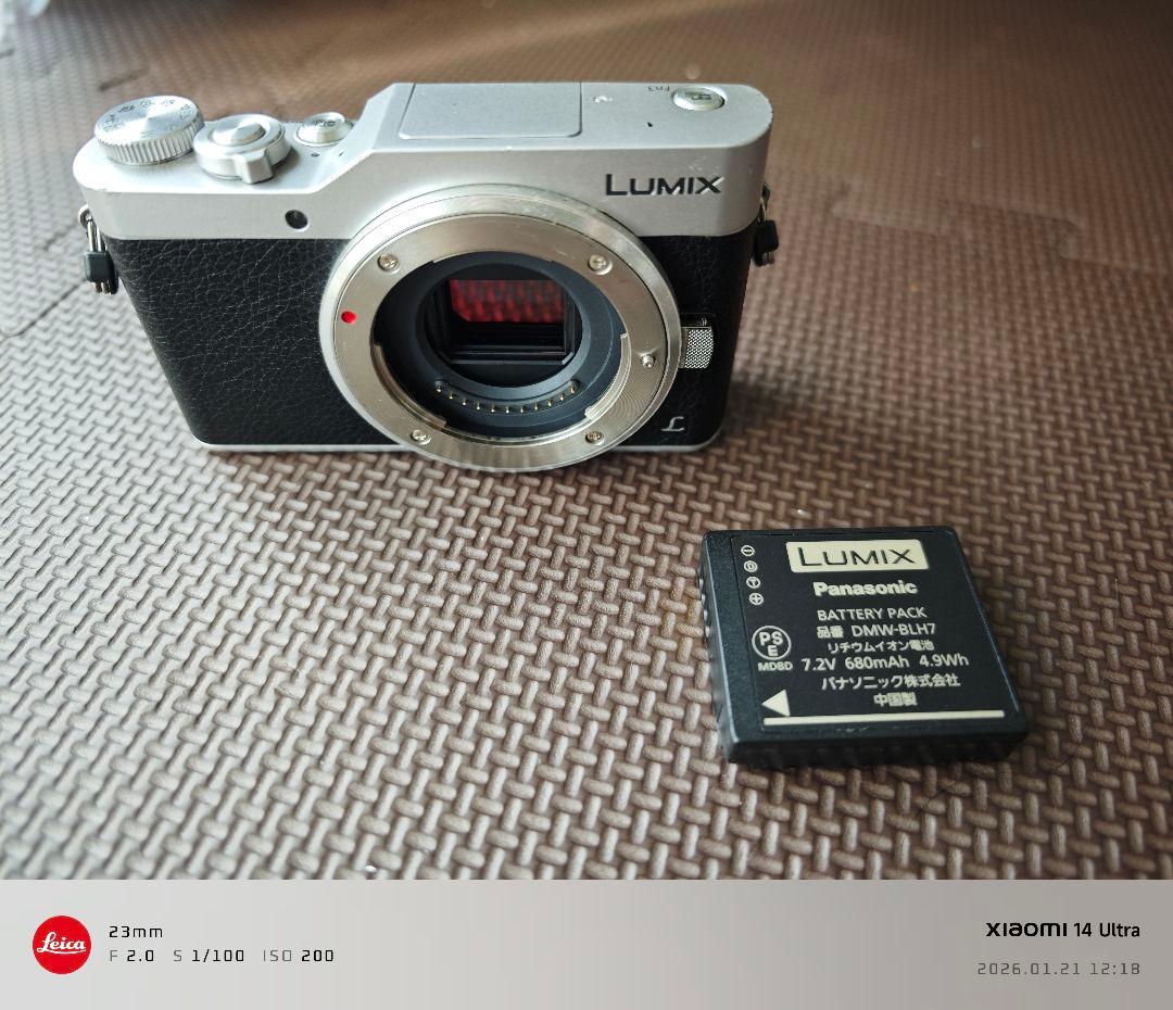 Panasonic Mirrorless Interchangeable Lips Lumix Gf9