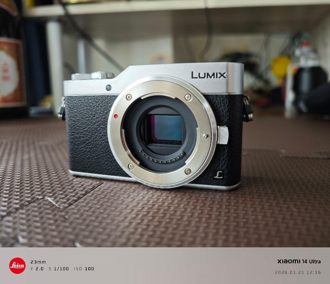 Panasonic Mirrorless Interchangeable Lips Lumix Gf9