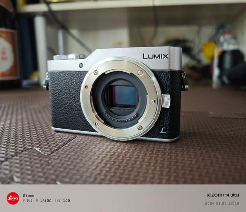 Panasonic Mirrorless Interchangeable Lips Lumix Gf9