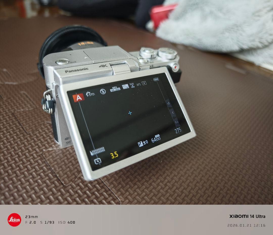 Panasonic Mirrorless Interchangeable Lips Lumix Gf9