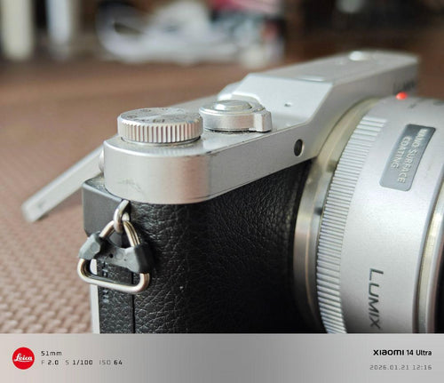 Panasonic Mirrorless Interchangeable Lips Lumix Gf9