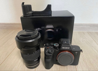 Sony Mirrorless Interchangeable Lips 7 Tamron