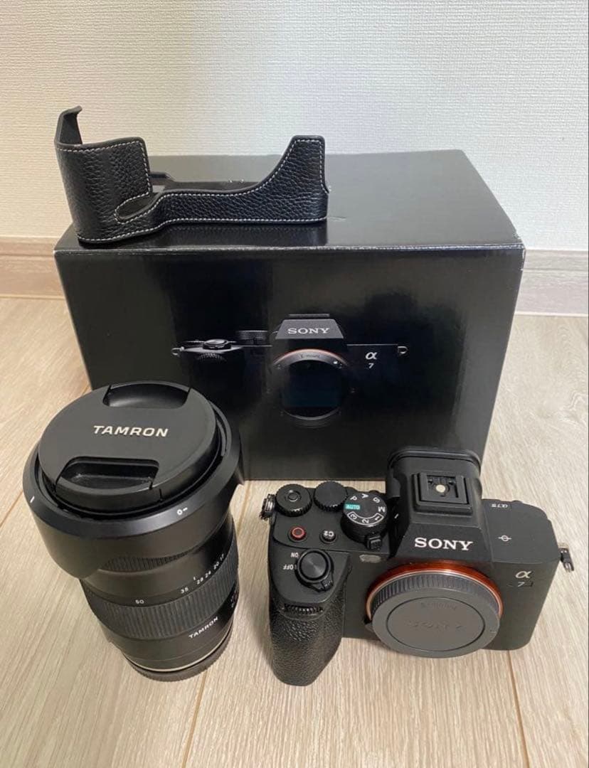 Sony Mirrorless Interchangeable Lips 7 Tamron