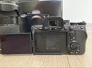 Sony Mirrorless Interchangeable Lips 7 Tamron