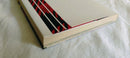 Illustration Collections Bleach Jet
