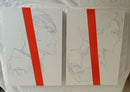 Illustration Collections Bleach Jet