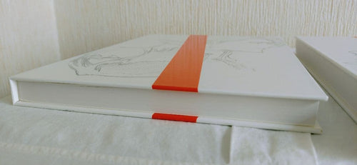 Illustration Collections Bleach Jet