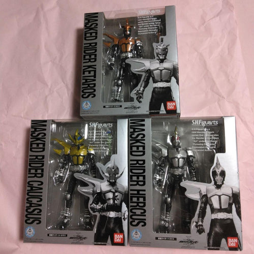 Bandai Kamen Rider S.H.Figuarts 14