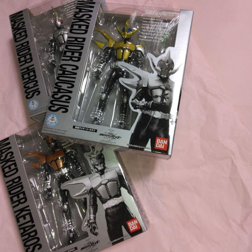 Bandai Kamen Rider S.H.Figuarts 14