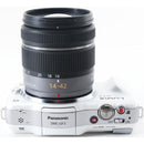 Panasonic Mirrorless Interchangeable Lips Lumix Dmc-Gf3 Sd