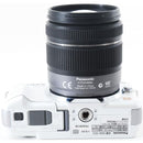 Panasonic Mirrorless Interchangeable Lips Lumix Dmc-Gf3 Sd