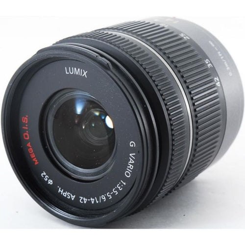 Panasonic Mirrorless Interchangeable Lips Lumix Dmc-Gf3 Sd