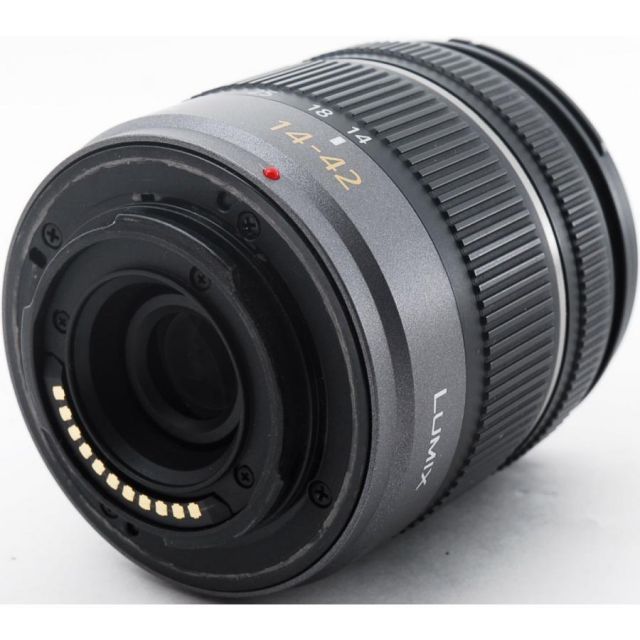 Panasonic Mirrorless Interchangeable Lips Lumix Dmc-Gf3 Sd