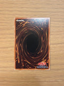Yu-Gi-Oh! Ocg Duel Monsters (Japanese)