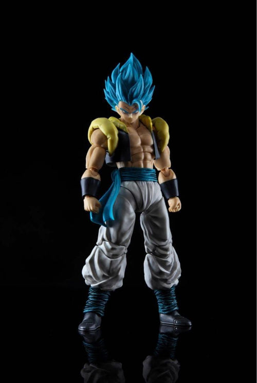 Dragon Ball S.H.Figuarts