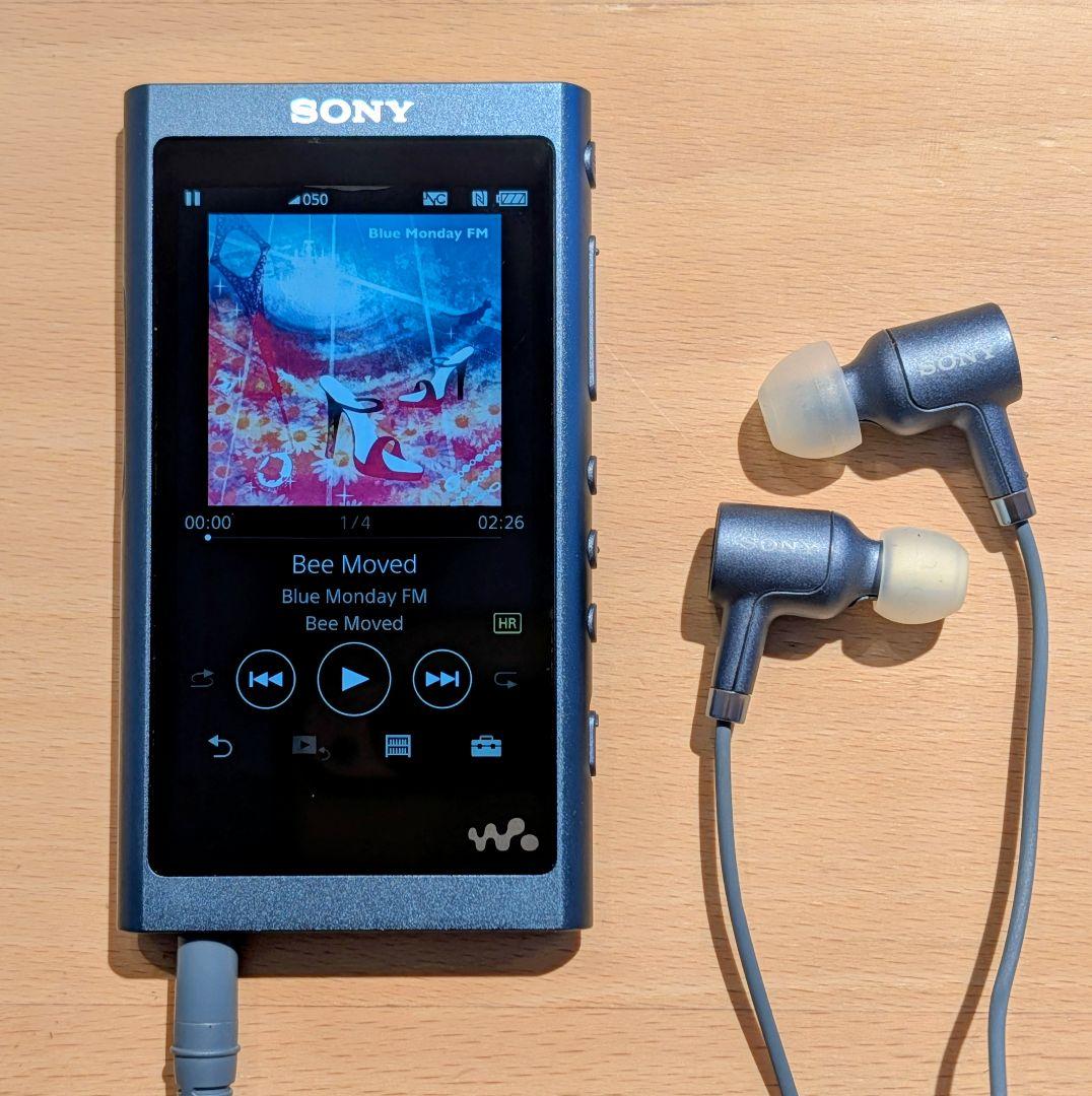 Sony Digital Audio Player Nw-A55Hn 16Gb