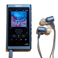 Sony Digital Audio Player Nw-A55Hn 16Gb