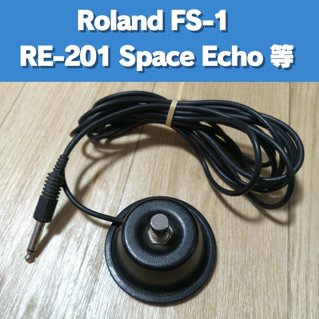 Roland Others Fs-1 Re-201 Space Echo