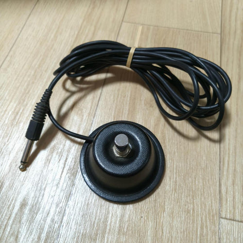 Roland Others Fs-1 Re-201 Space Echo