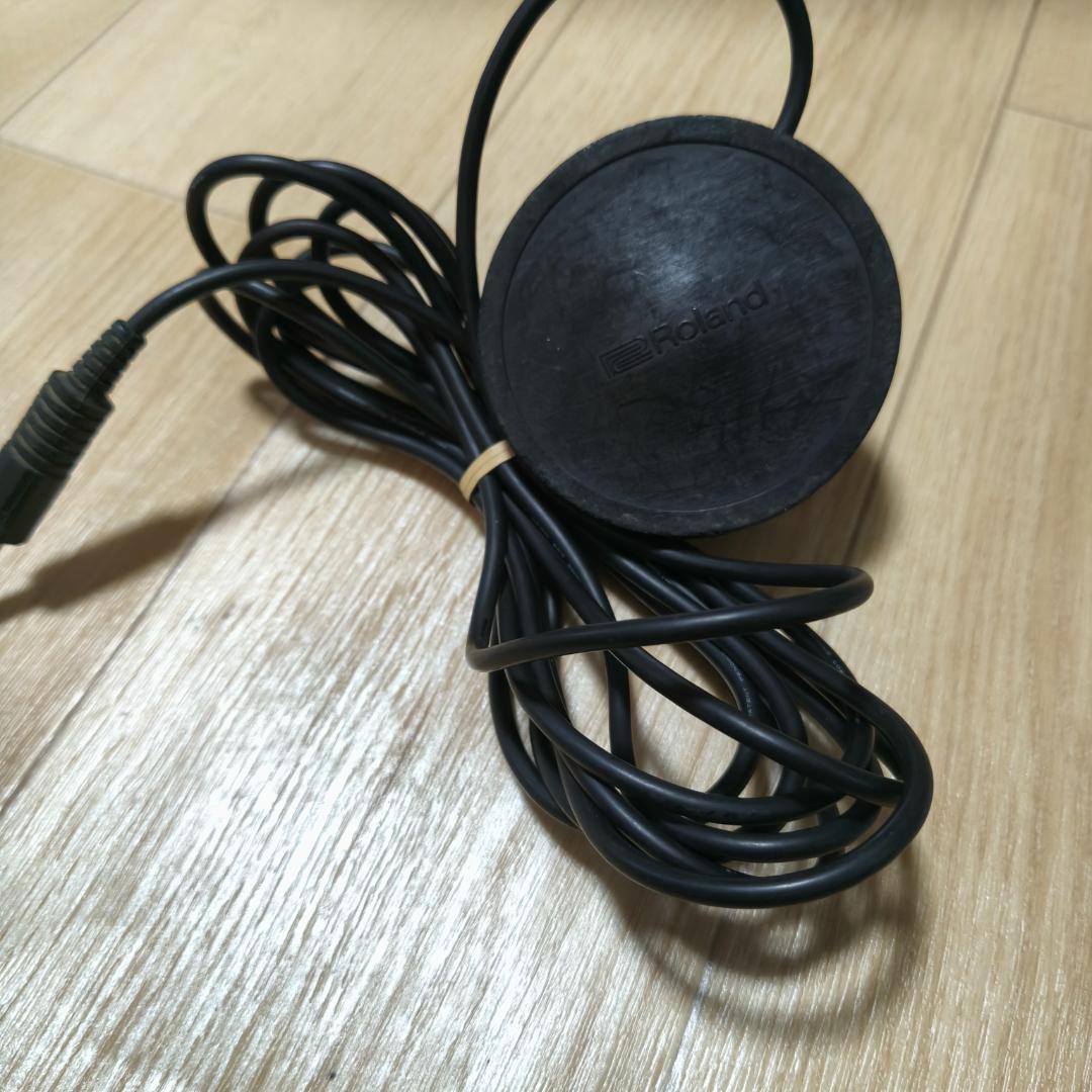Roland Others Fs-1 Re-201 Space Echo
