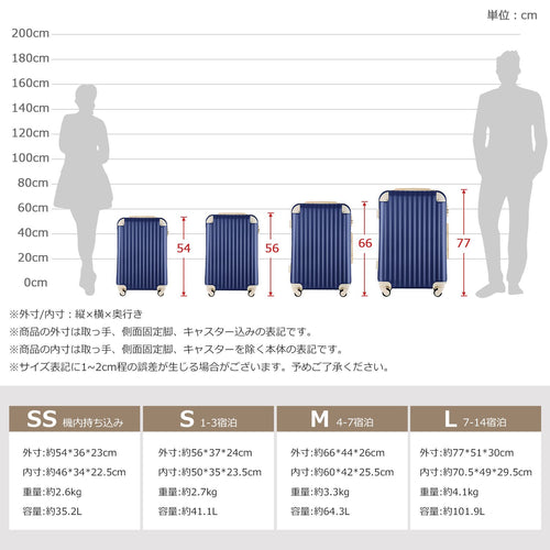 Carry Case S 2 3 Tsa