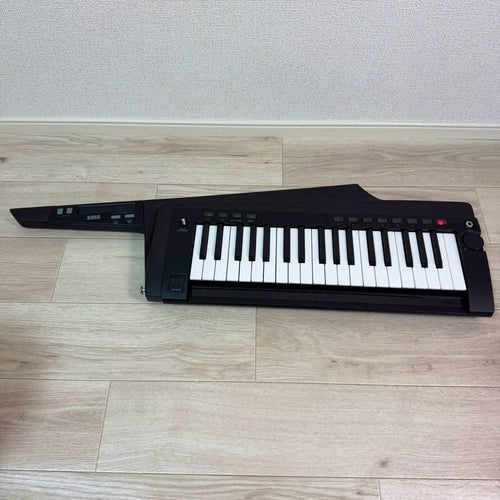 Korg Other Rk-100S 2
