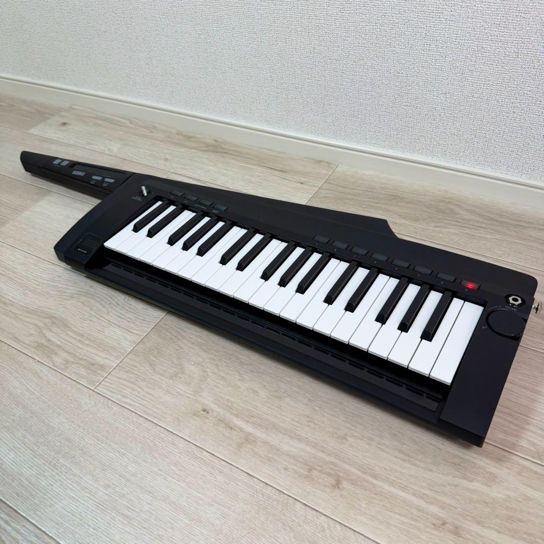 Korg Other Rk-100S 2