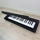 Korg Other Rk-100S 2