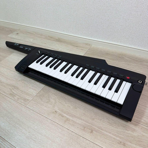 Korg Other Rk-100S 2