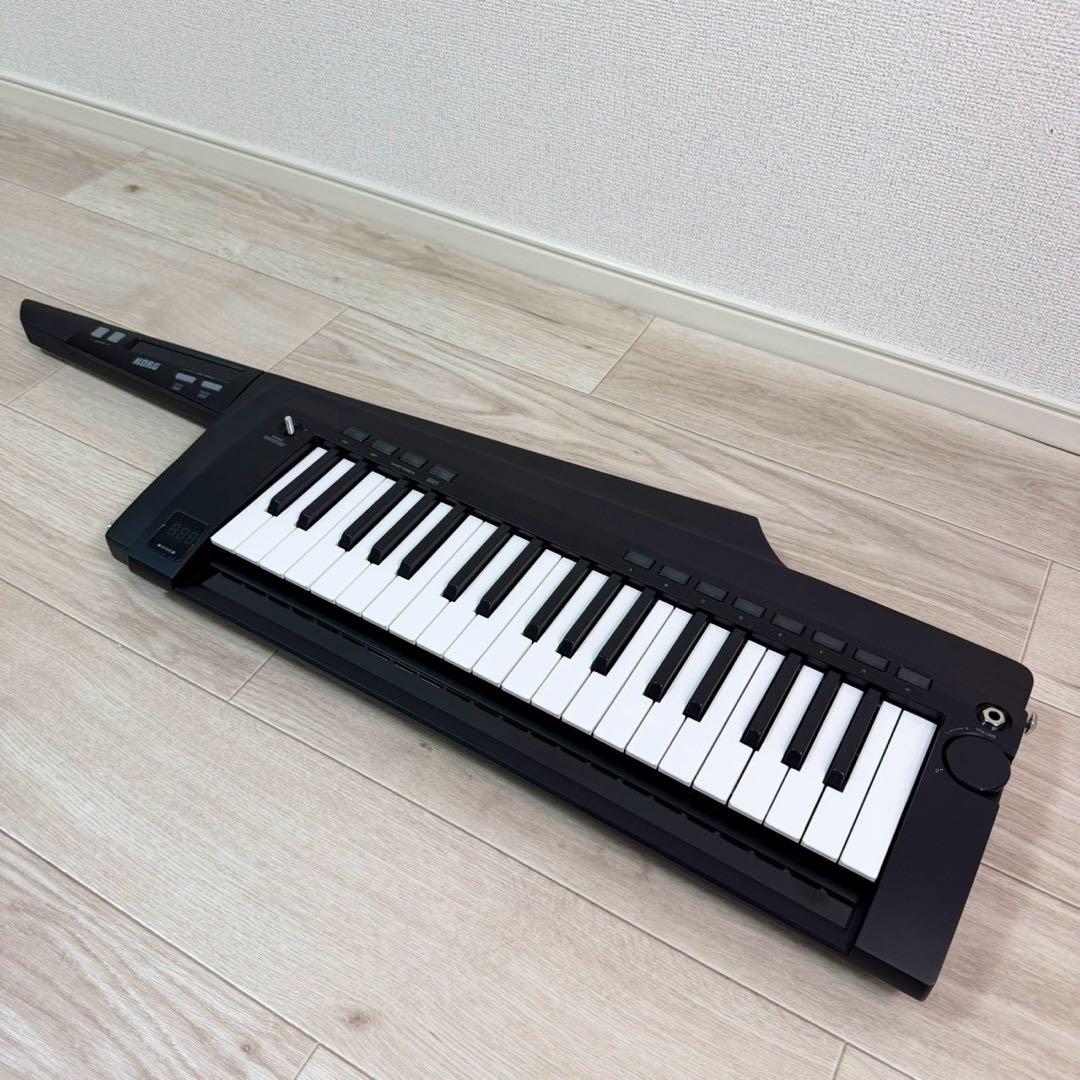 Korg Other Rk-100S 2