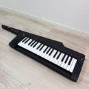 Korg Other Rk-100S 2