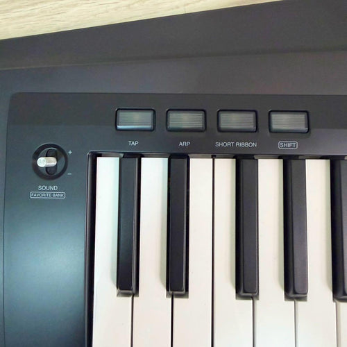 Korg Other Rk-100S 2