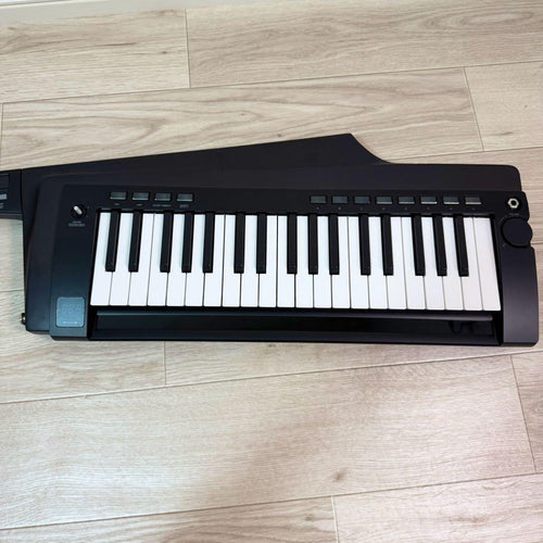 Korg Other Rk-100S 2