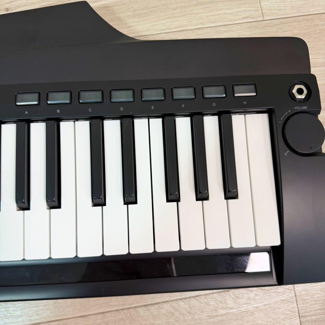 Korg Other Rk-100S 2