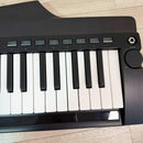 Korg Other Rk-100S 2