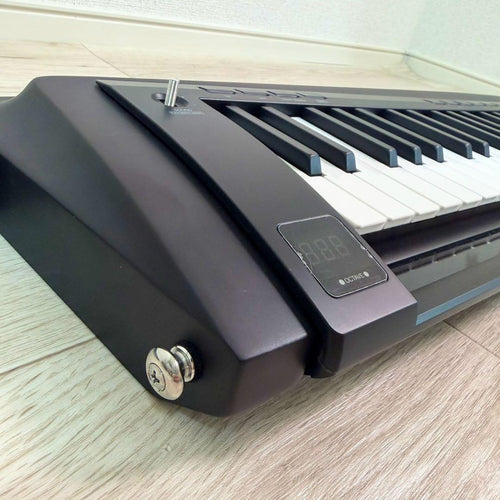 Korg Other Rk-100S 2