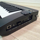 Korg Other Rk-100S 2