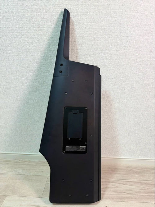 Korg Other Rk-100S 2