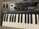 Other Yamaha Ck61