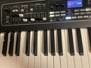 Other Yamaha Ck61