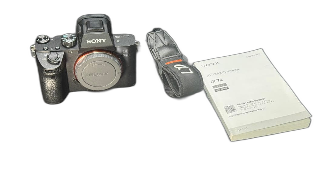 Sony Mirrorless Interchangeable Lips 7