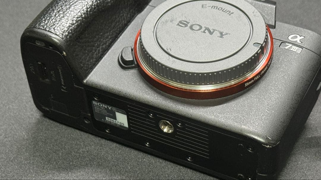 Sony Mirrorless Interchangeable Lips 7