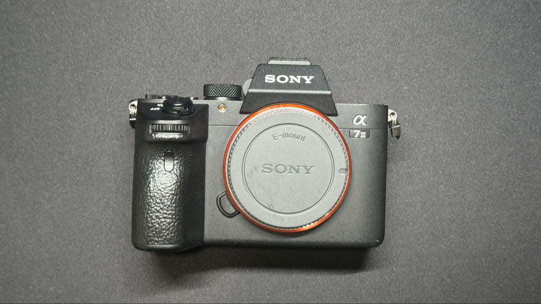 Sony Mirrorless Interchangeable Lips 7