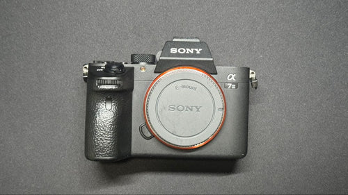 Sony Mirrorless Interchangeable Lips 7