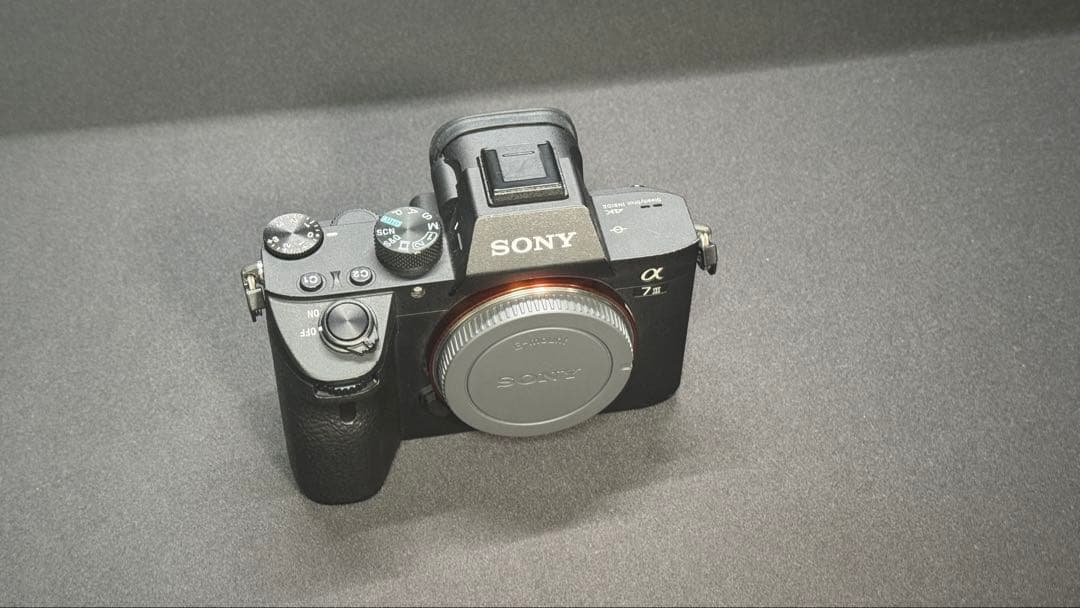 Sony Mirrorless Interchangeable Lips 7