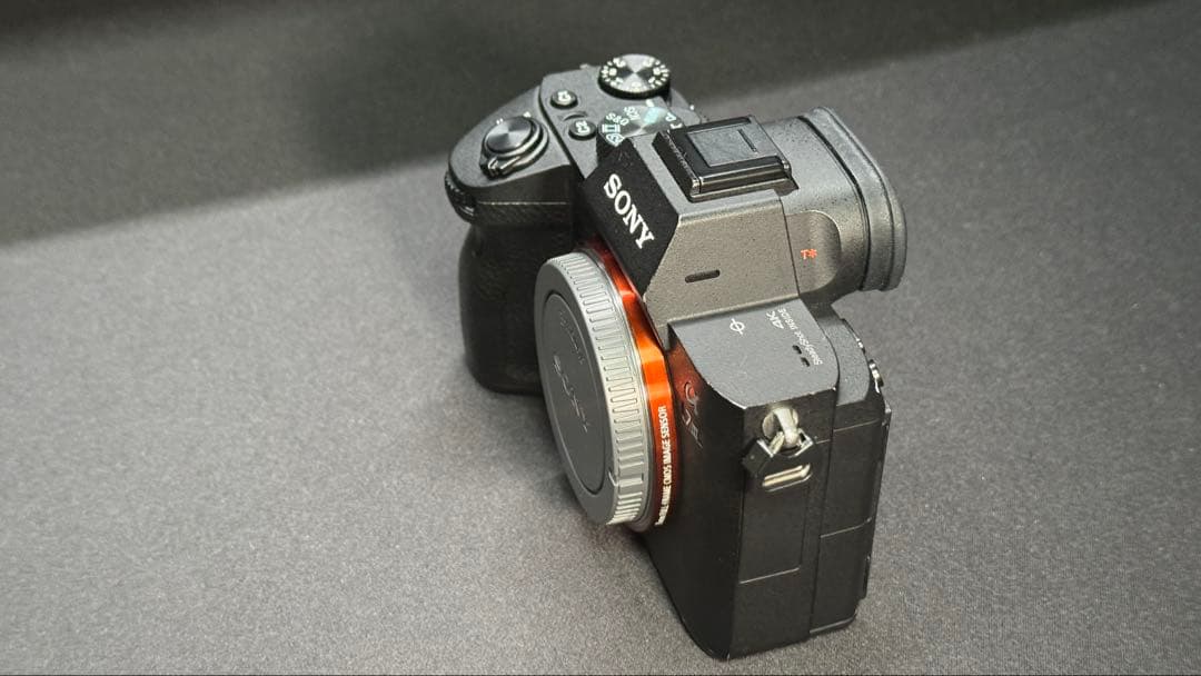 Sony Mirrorless Interchangeable Lips 7