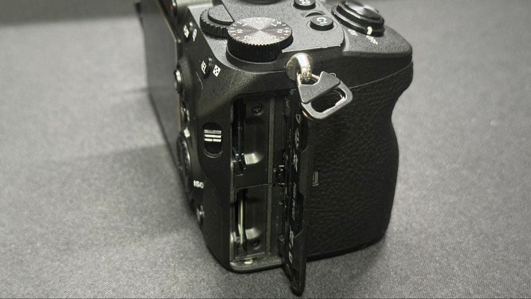 Sony Mirrorless Interchangeable Lips 7