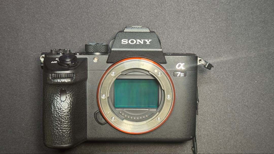 Sony Mirrorless Interchangeable Lips 7